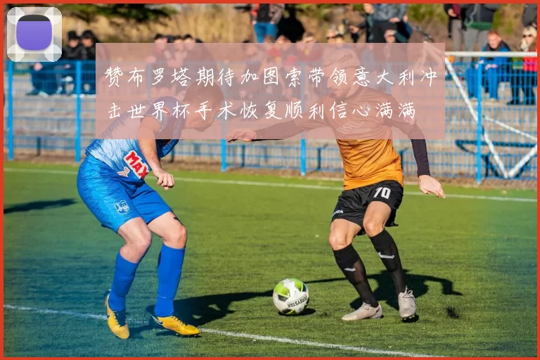 赞布罗塔期待加图索带领意大利冲击世界杯手术恢复顺利信心满满